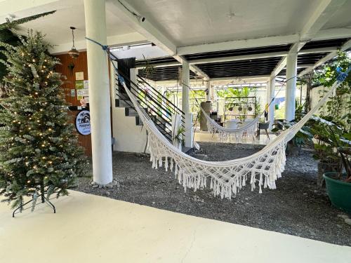 Mahajab Homestay