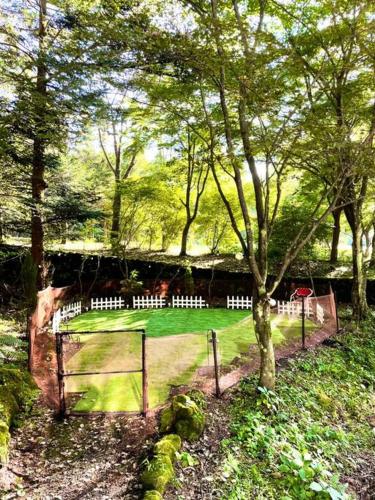 四季の彩りが鮮やかなレイクビューハウス 軽井沢駅から車で10分, Karuizawa (foto 10)