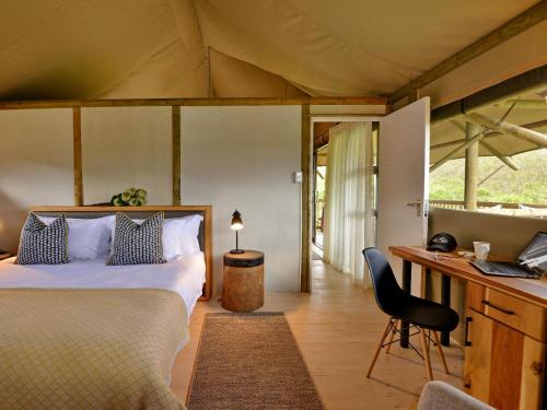 Garden Route Safari Camp