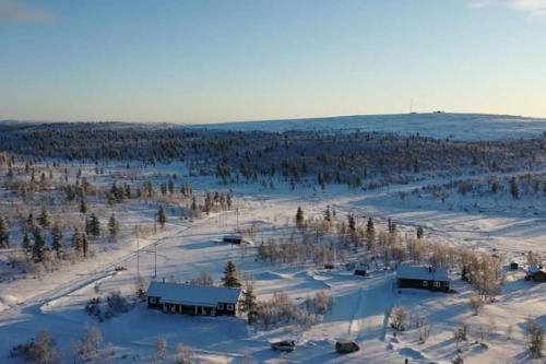 Twin Peaks Urupää B Saariselkä