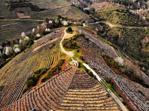 Casa Turística Viladonatus (Ribeira Sacra)