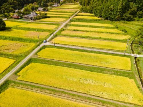 Surrounding environment, OSAKA NOSE Farmer's Guest House　YASUDA FARM in Minoh