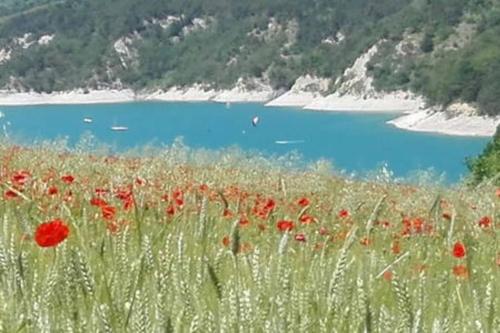 Gîte de charme : La grange au lac Azur