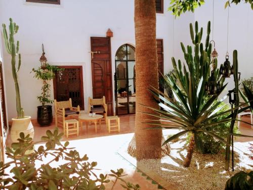 Riad Dar Nouba photo 2