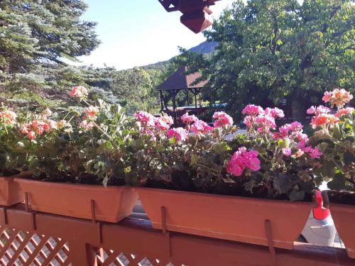 Holiday home in Badacsonytomaj 20247 - image 10