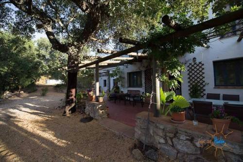 Dārzs, FINCA LA TEJONERA in Santa Analareala