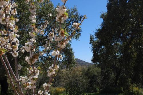 FINCA LA TEJONERA