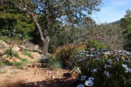 FINCA LA TEJONERA