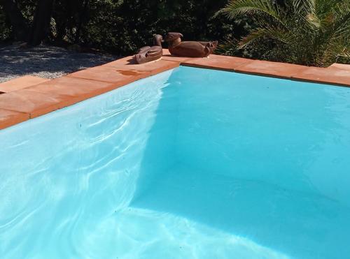 Peldbaseins, FINCA LA TEJONERA in Santa Analareala
