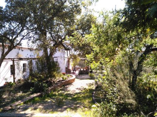 Skats, FINCA LA TEJONERA in Santa Analareala