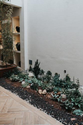 오악사카 Hotel Casa Puga 4성급 호텔 전망