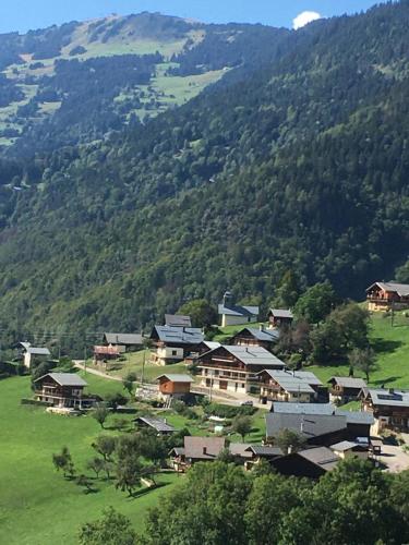 บริการและสิ่งอำนวยความสะดวก, Chalet vue panoramique, 11 personnes, 5 chambres - CH47 in โบฟอร์