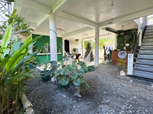 Mahajab Homestay