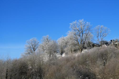 BELVEDERE Appart & Chalet - Ihr Zuhause auf Zeit am Edersee - Ihr Geschenk die GästeCard GrimmHeimat