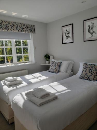 Watership Down Inn in Whitchurch (Hampshire)