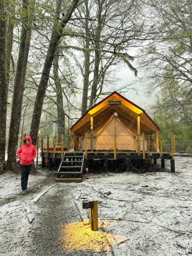 Casa del Árbol - Glamping