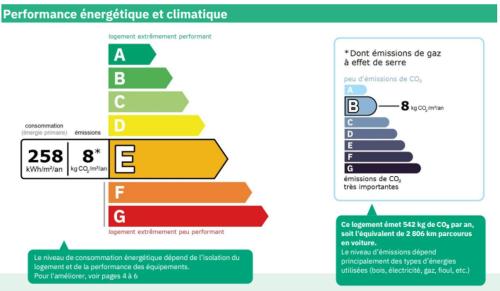 JEANETTE 2 - image 4