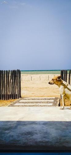 Refugio, Casa de la Playa