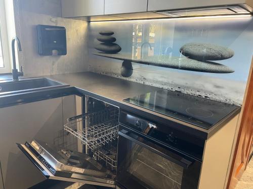 BRIVIBAS RESIDENCE - STONES, free PRIVAT parking, free WIFI, self check-in, Riga (photo 10)