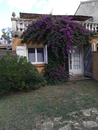 Mas Maurane - Le Bougainvillier aux portes d'ARLES