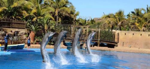 Precious Paradise Ushaka in Point