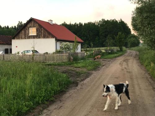 Perły 27 (Perly 27) in Srokowo