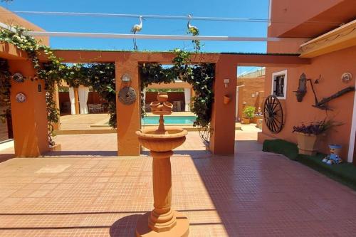 Finca David Galdar