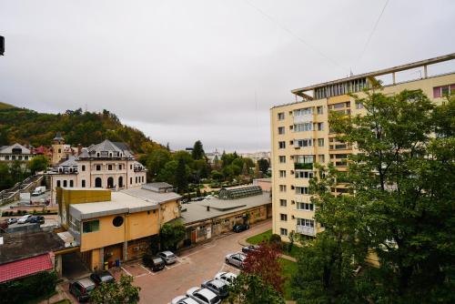 Навколишнє середовище, Central Park Apartments in Пятра Нямц