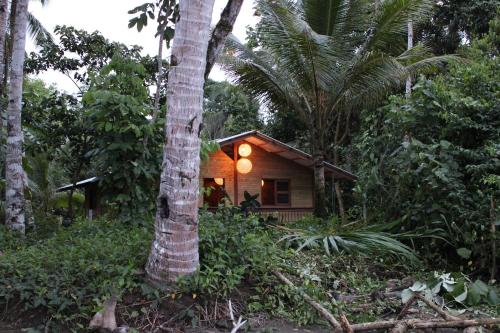 Cabaña frente al mar en el Chocó