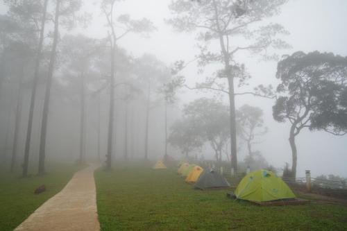 Camping Park Resort