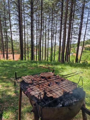 Bujtinat Skenderi Gjinar 2 Bujtinat Skenderi Gjinar 2