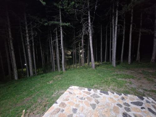 Bujtinat Skenderi Gjinar 2 Bujtinat Skenderi Gjinar 2