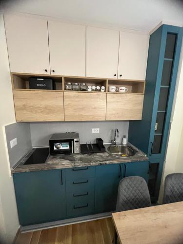 Apartman Titova Vila in Palisad