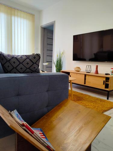 ห้องส่วนกลางสำหรับนั่งเล่น/ดูทีวี, Pe-Ki Apartman Székesfehérvár (Pe-Ki Apartman Szekesfehervar) in วาราเลีย