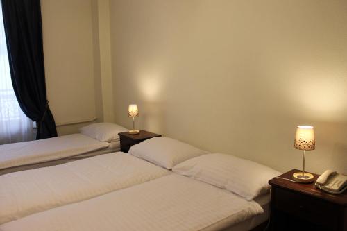 Hôtel Pax, Geneva (photo 11)