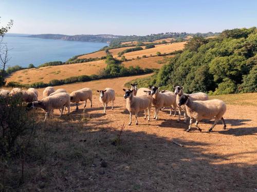 Tide House Seaside Holiday Cottage