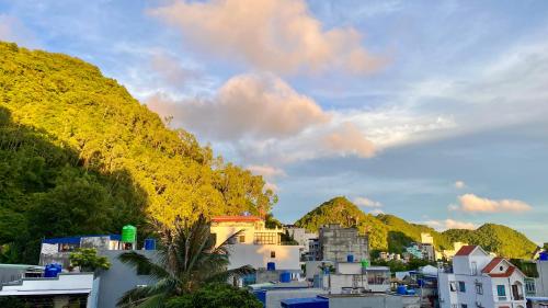 Domik Homestay - Cat Ba - 주변 환경