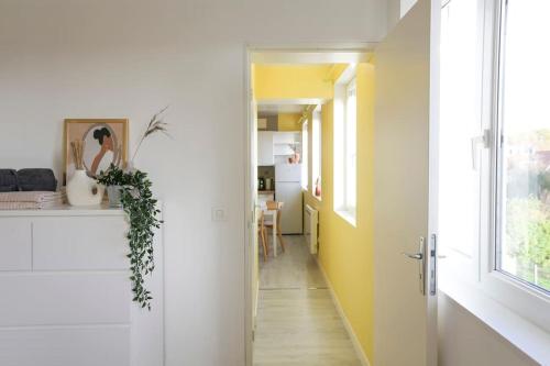 Appartement sans vis-à-vis proche du centre-ville (Appartement sans vis-a-vis proche du centre-ville) in Douai