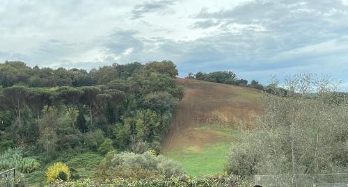 Appartamento nel verde fronte ospedale San Pietro, Sant'Andrea, Roma (foto 3)