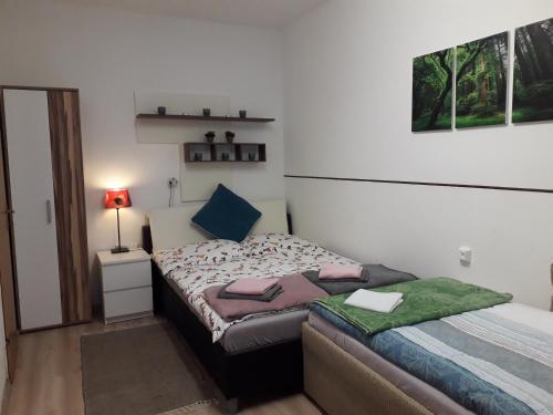  Apartment im Zentrum Steyr, 2 Betten BESTROOMS eU, Pension in Steyr bei Sierning