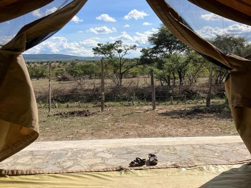 Kambu Mara Camp Room Type - Comfort Tent