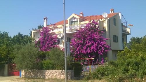  Guest House Neda, Pension in Drage