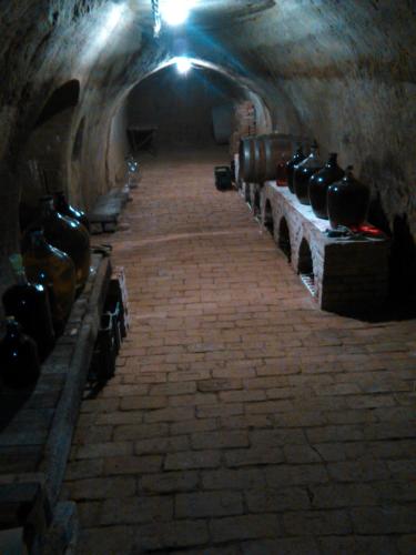 Vinarstvi Bician in Satov