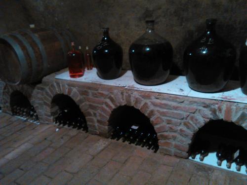 Vinarstvi Bician in Satov