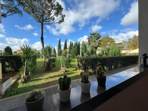 Aurelia Green Suite 5