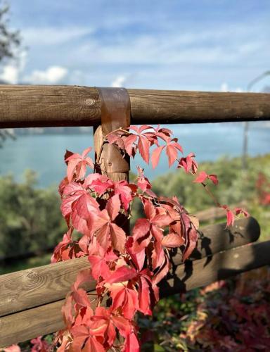 Casa Vacanze La Fiòca