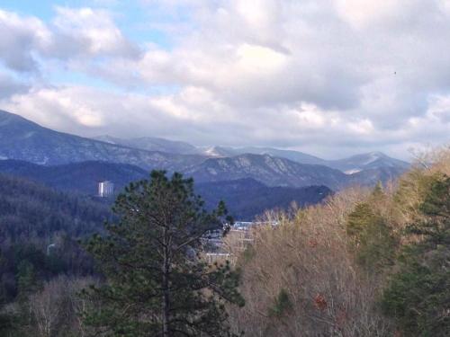 Mountain Haven - Relax & enjoy AMAZING 180 Degree Views of Mt LeConte - image 10