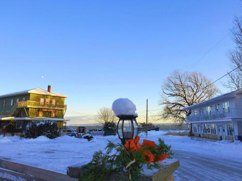 Les Petits Studios du bord de l'eau - Apartment - Saint-Joseph-de-la-Rive