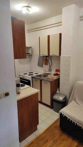 Apartman Lazarevic Zarkovo 2