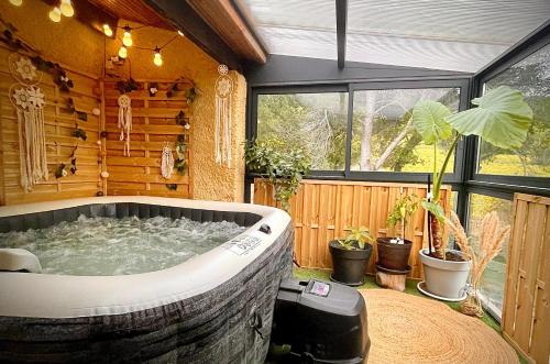 Appartement avec jacuzzi privatif piscine commune chauffée wifi et vue magnifique sur Seguret et les vignes
